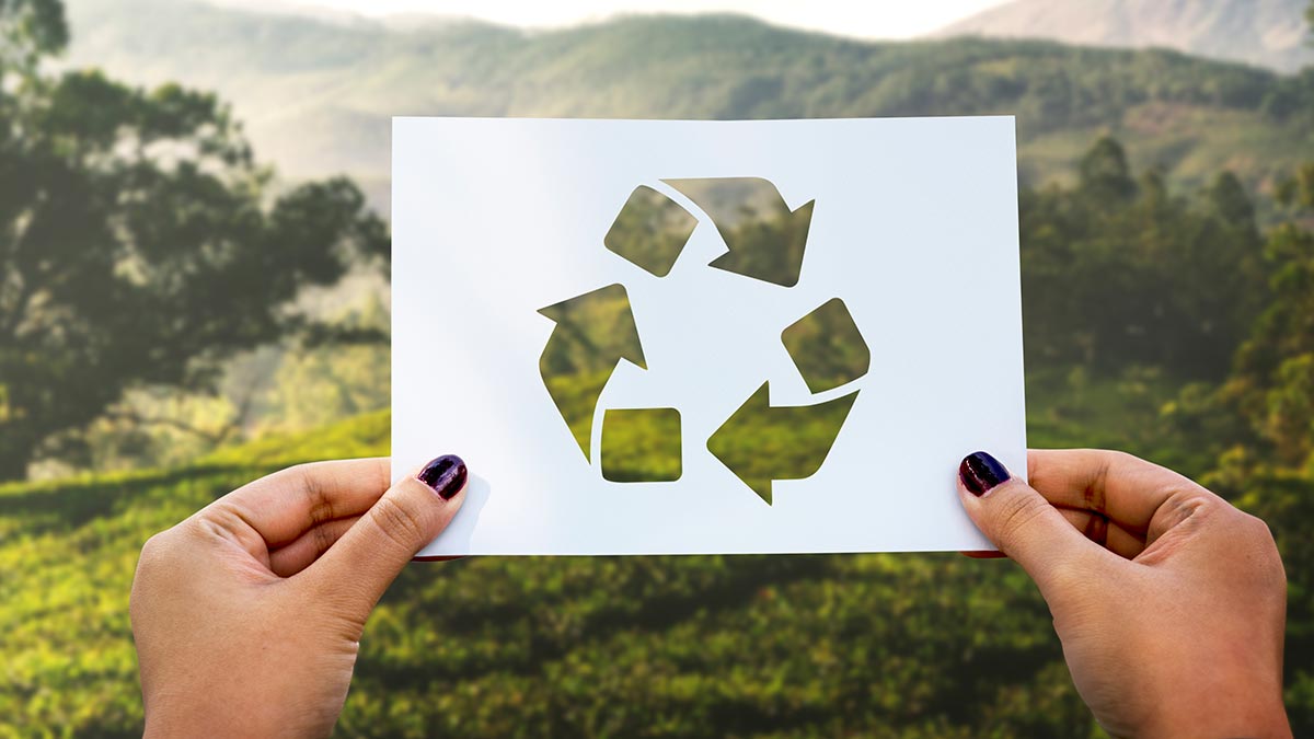 Engineering with the environment in mind